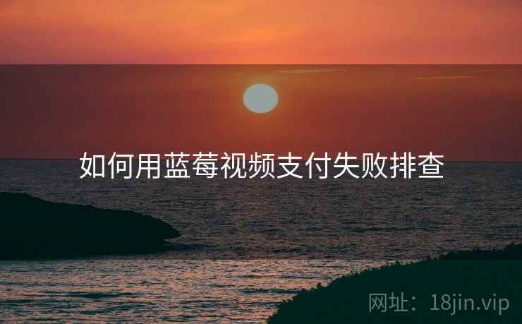 如何用蓝莓视频支付失败排查