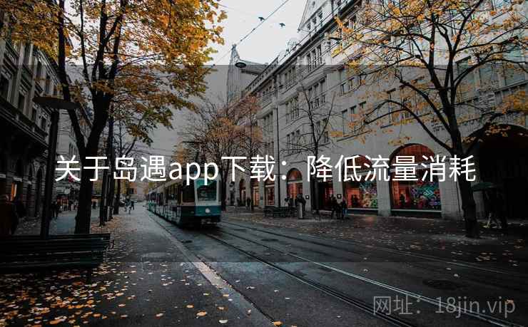 关于岛遇app下载：降低流量消耗