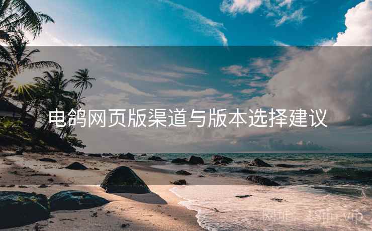 电鸽网页版渠道与版本选择建议