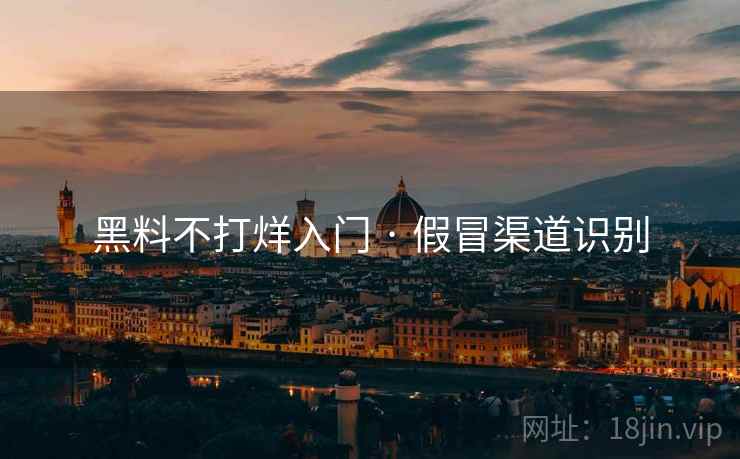 黑料不打烊入门 · 假冒渠道识别