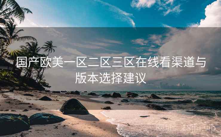 国产欧美一区二区三区在线看渠道与版本选择建议