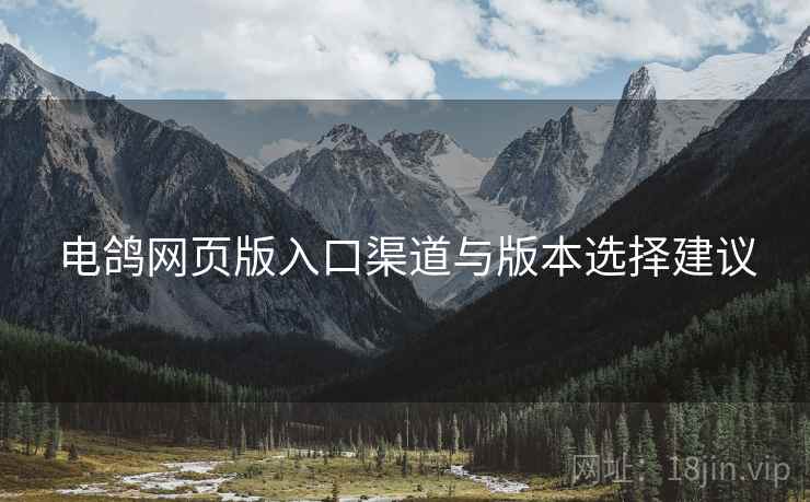 电鸽网页版入口渠道与版本选择建议