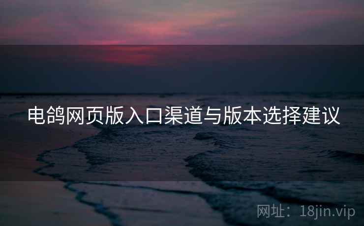 电鸽网页版入口渠道与版本选择建议