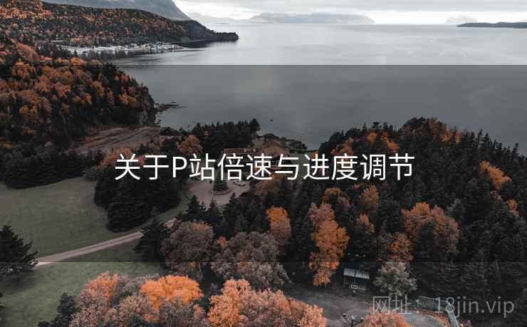 关于P站倍速与进度调节