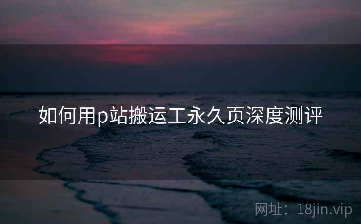 如何用p站搬运工永久页深度测评