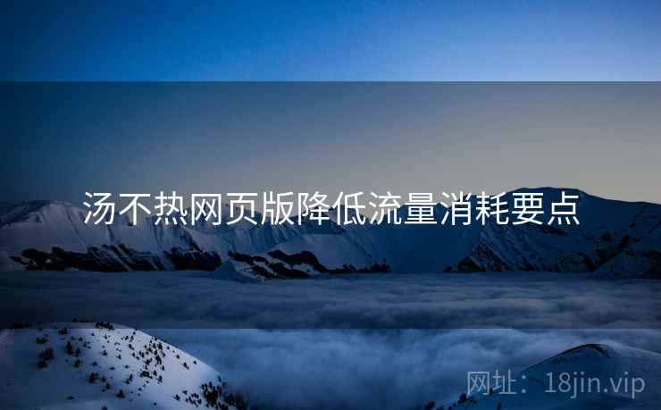 汤不热网页版降低流量消耗要点