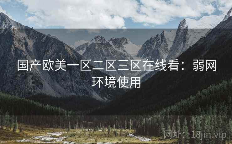国产欧美一区二区三区在线看：弱网环境使用
