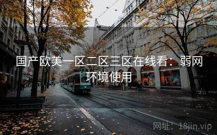 国产欧美一区二区三区在线看：弱网环境使用