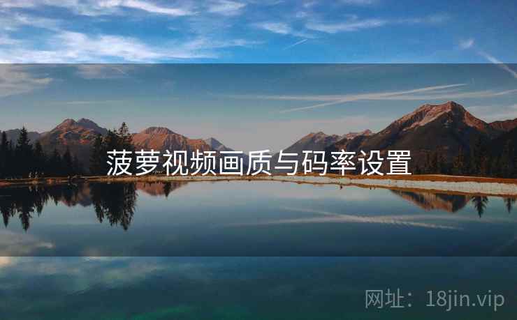 菠萝视频画质与码率设置