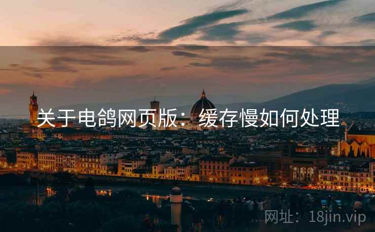 关于电鸽网页版：缓存慢如何处理