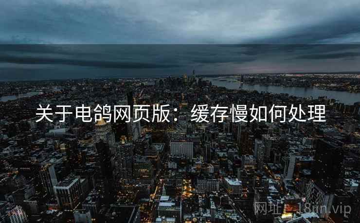 关于电鸽网页版：缓存慢如何处理