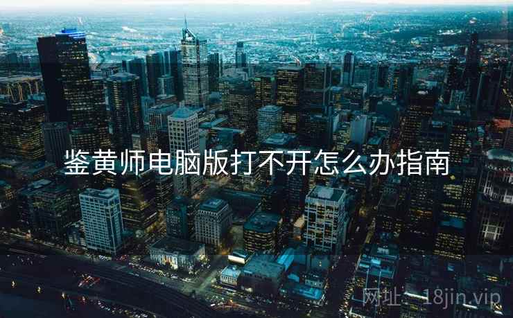 鉴黄师电脑版打不开怎么办指南