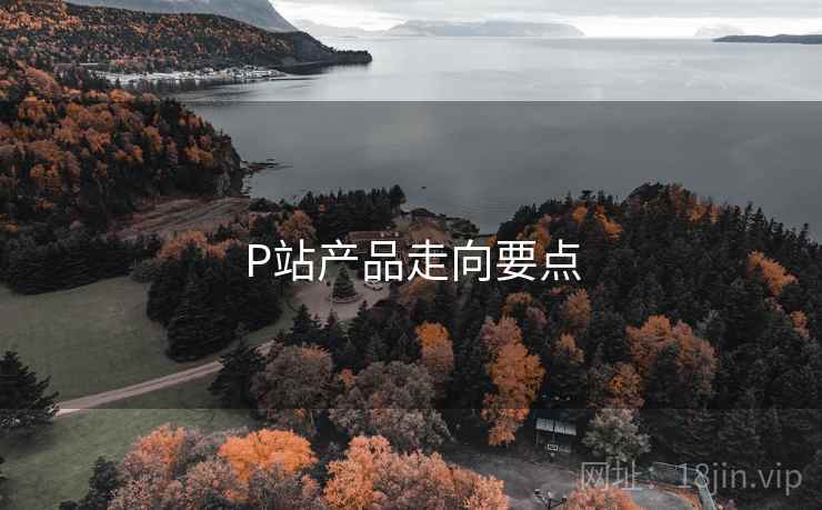 P站产品走向要点