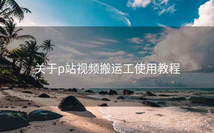 关于p站视频搬运工使用教程