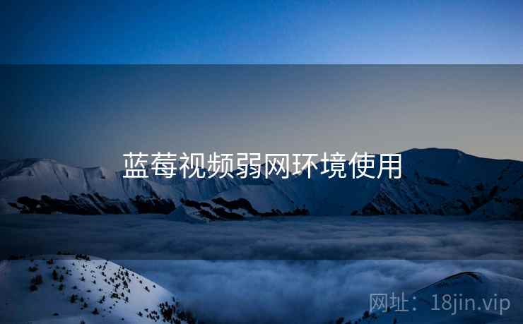 蓝莓视频弱网环境使用