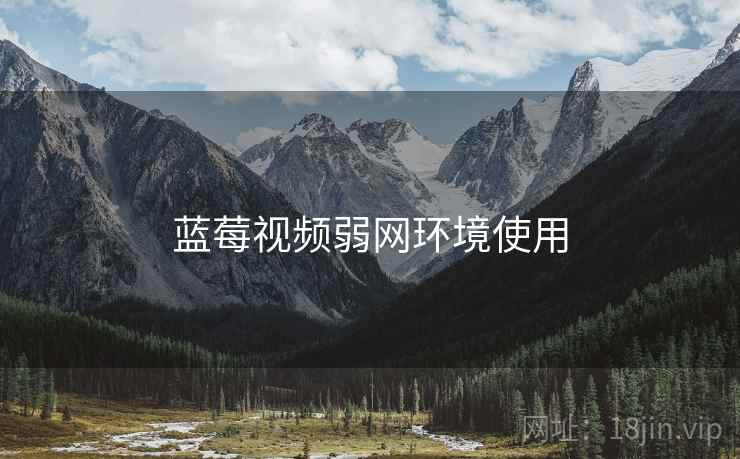 蓝莓视频弱网环境使用