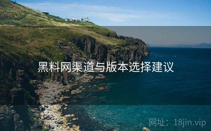 黑料网渠道与版本选择建议