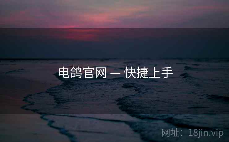 电鸽官网 — 快捷上手