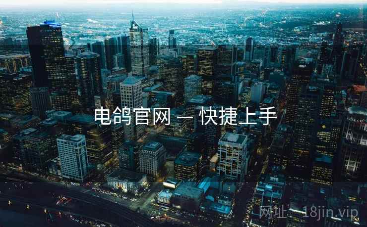 电鸽官网 — 快捷上手