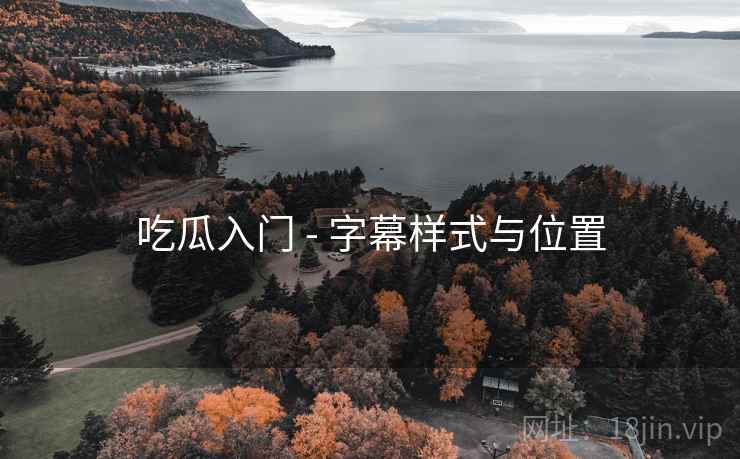 吃瓜入门 - 字幕样式与位置