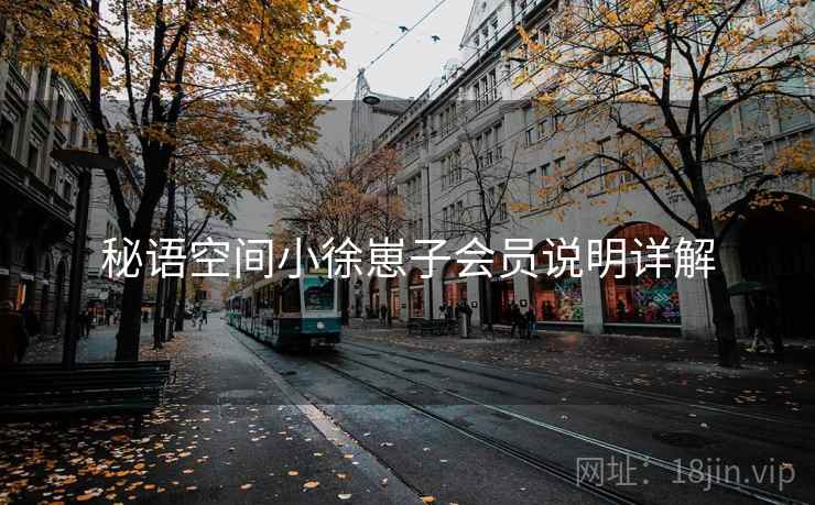 秘语空间小徐崽子会员说明详解