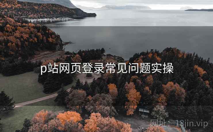 p站网页登录常见问题实操