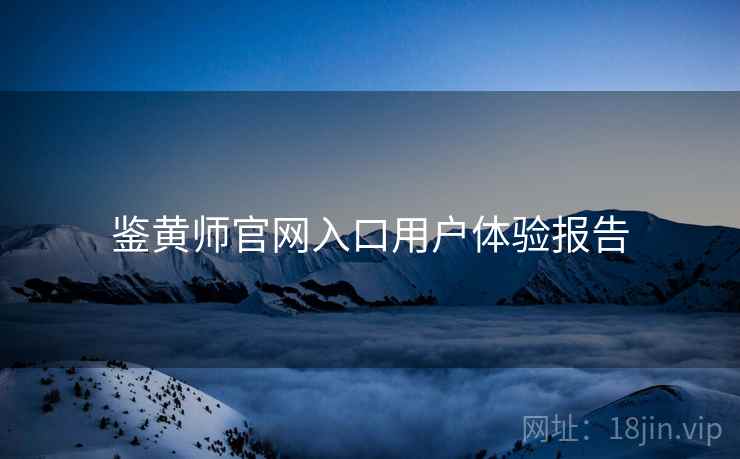 鉴黄师官网入口用户体验报告